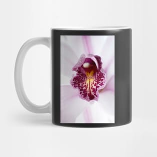 Pink orchid Mug